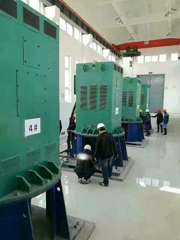 南华某污水处理厂使用我厂的立式高压电机安装现场
